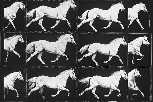 In Motion